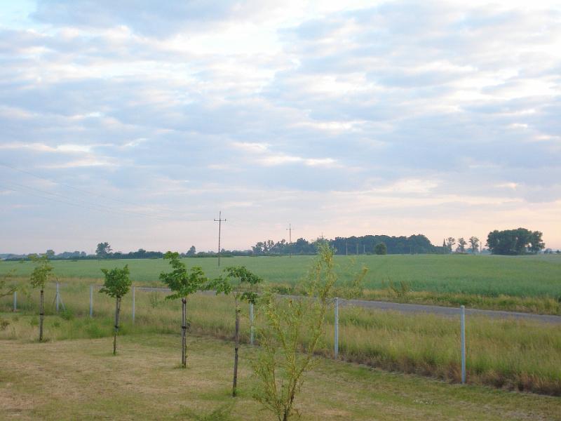DSC06472.JPG