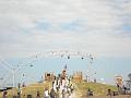 DSC06514