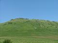 2007_0718Image0157