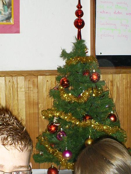 S5030273.JPG